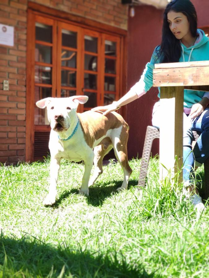 La Parada Del Tren Hostel Bogotá Eksteriør bilde